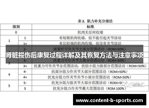 肾脏损伤后康复过程详解及其恢复方法与注意事项 肾脏损伤后康复过程详解及其恢复方法与注意事项