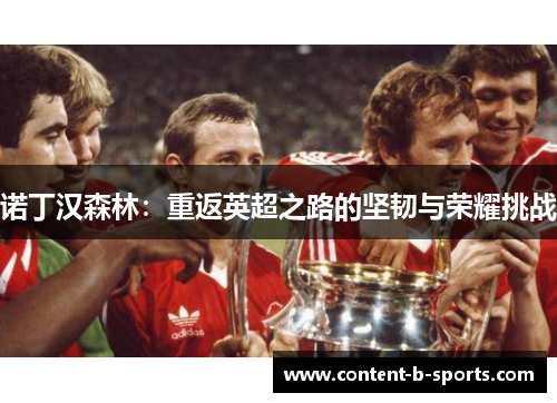 诺丁汉森林：重返英超之路的坚韧与荣耀挑战